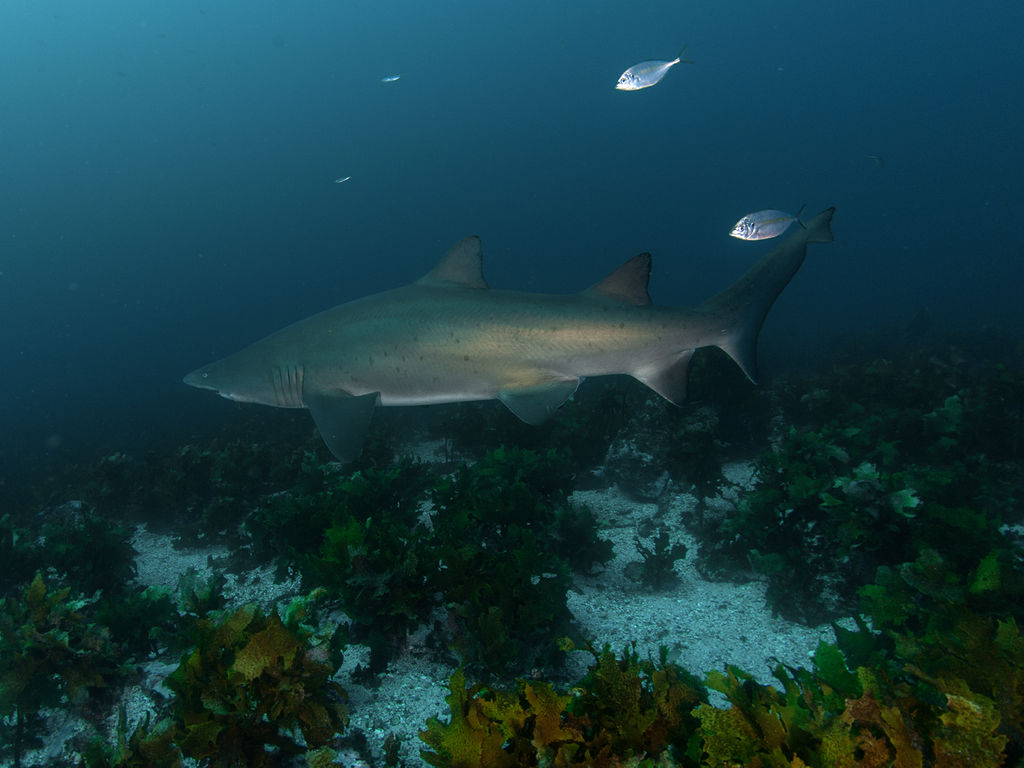 2750fe7f-ea21-4ec2-b68a-300459d87b1e