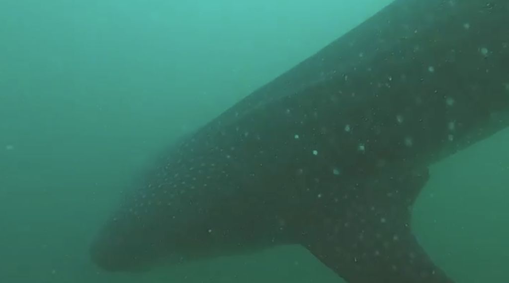 e05f2843-1b09-4b7e-aa1a-a8a5bf4f62f4