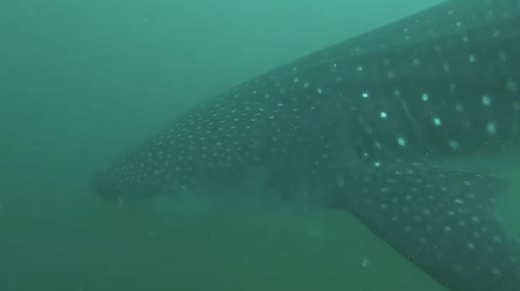 e05f2843-1b09-4b7e-aa1a-a8a5bf4f62f4