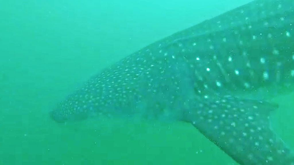 e05f2843-1b09-4b7e-aa1a-a8a5bf4f62f4