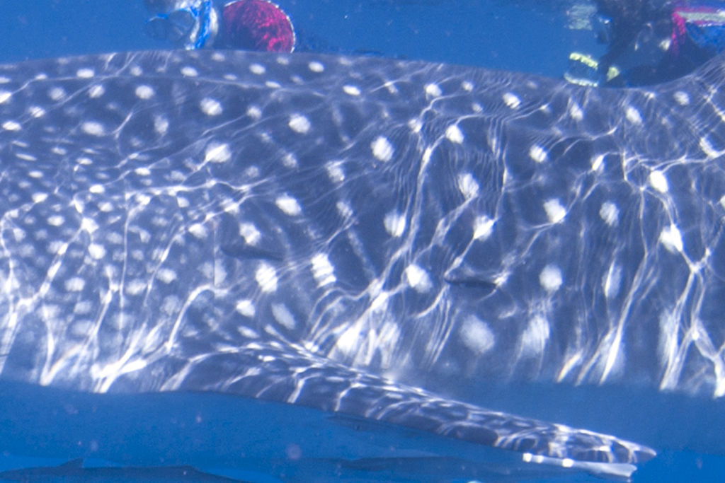 81266e96-71c9-4636-a5f9-b51a1c309e03