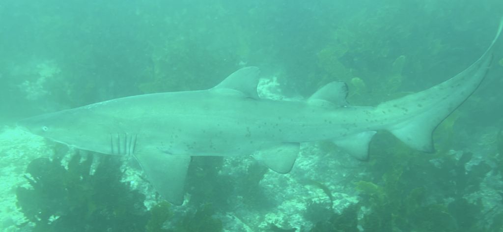 7bd883a2-c213-4933-8a80-68f266fa3e6e