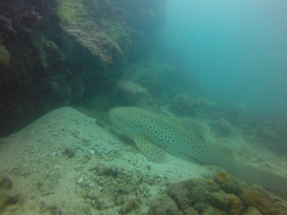 fac205ae-8772-4e22-93e7-cb9bae2f69f8