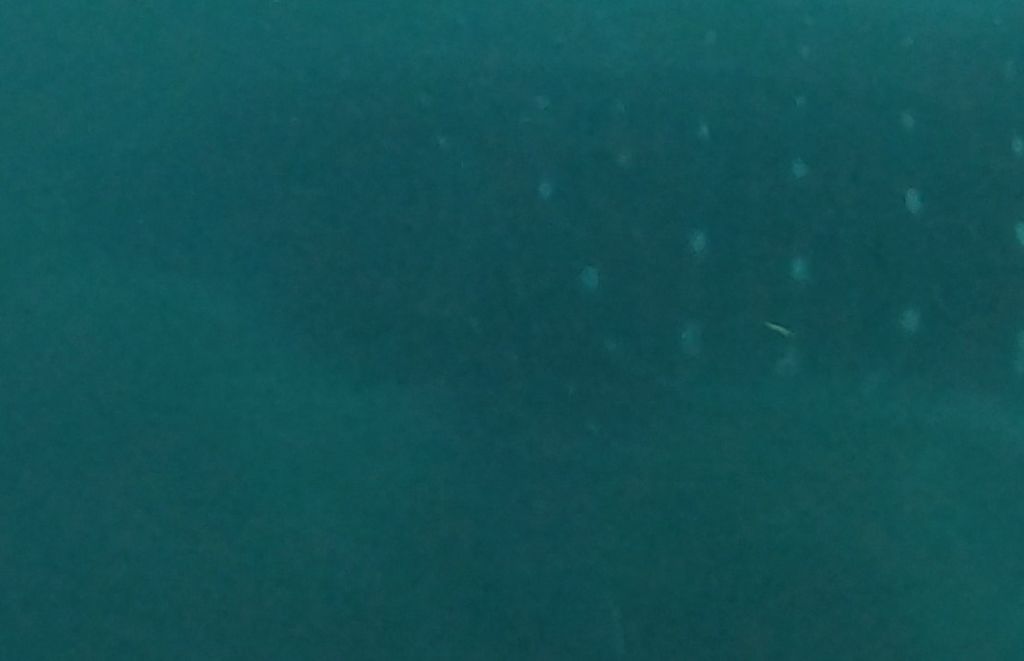 8d65392c-c8ad-4656-aa1a-ee74a9d278c1