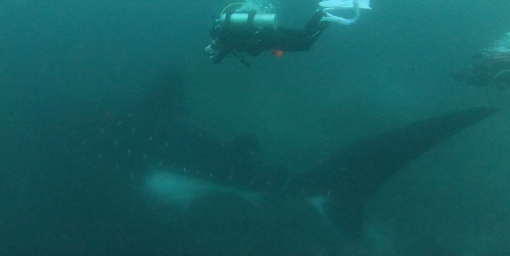 8d65392c-c8ad-4656-aa1a-ee74a9d278c1