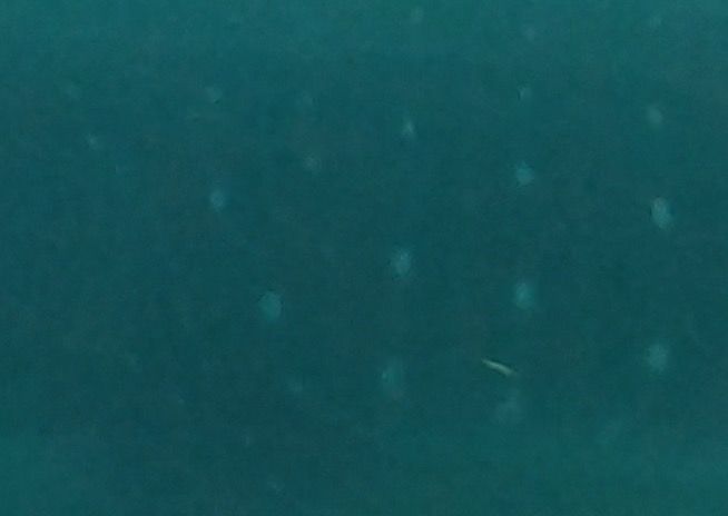 8d65392c-c8ad-4656-aa1a-ee74a9d278c1