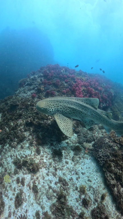 0d820d57-b88f-417d-851f-89fdb598a30c