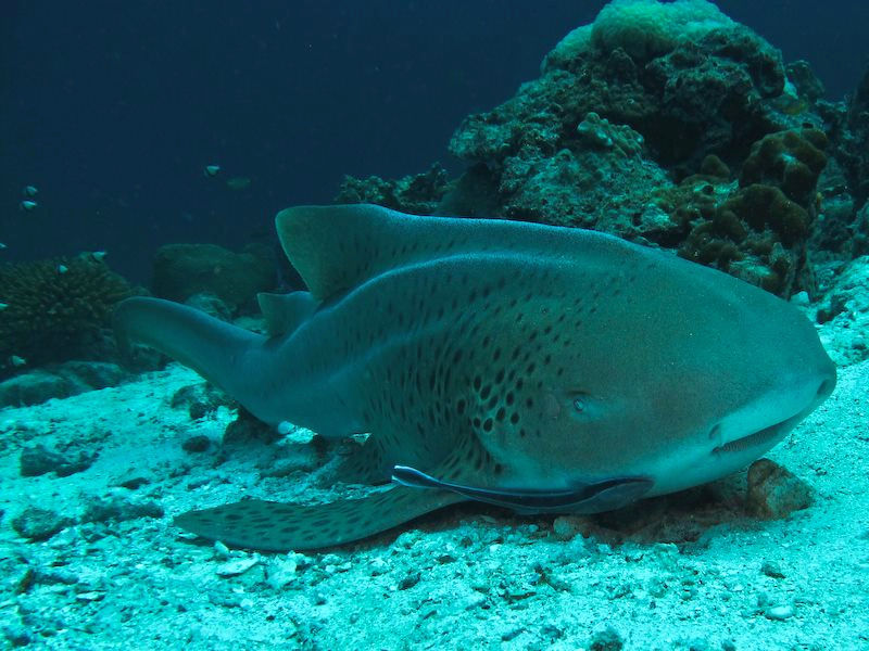 3c130716-62b9-4735-920f-9d381eb6ac37