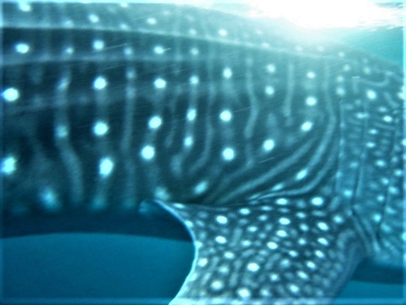 4ea708e4-4936-4e6b-ad28-968820f4181d