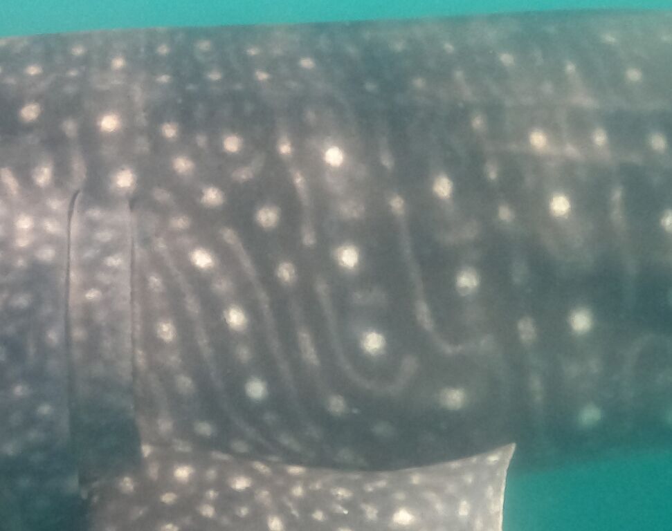 80b13dae-14cf-451b-afc5-1d26399cb5a3