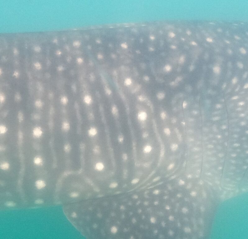 80b13dae-14cf-451b-afc5-1d26399cb5a3