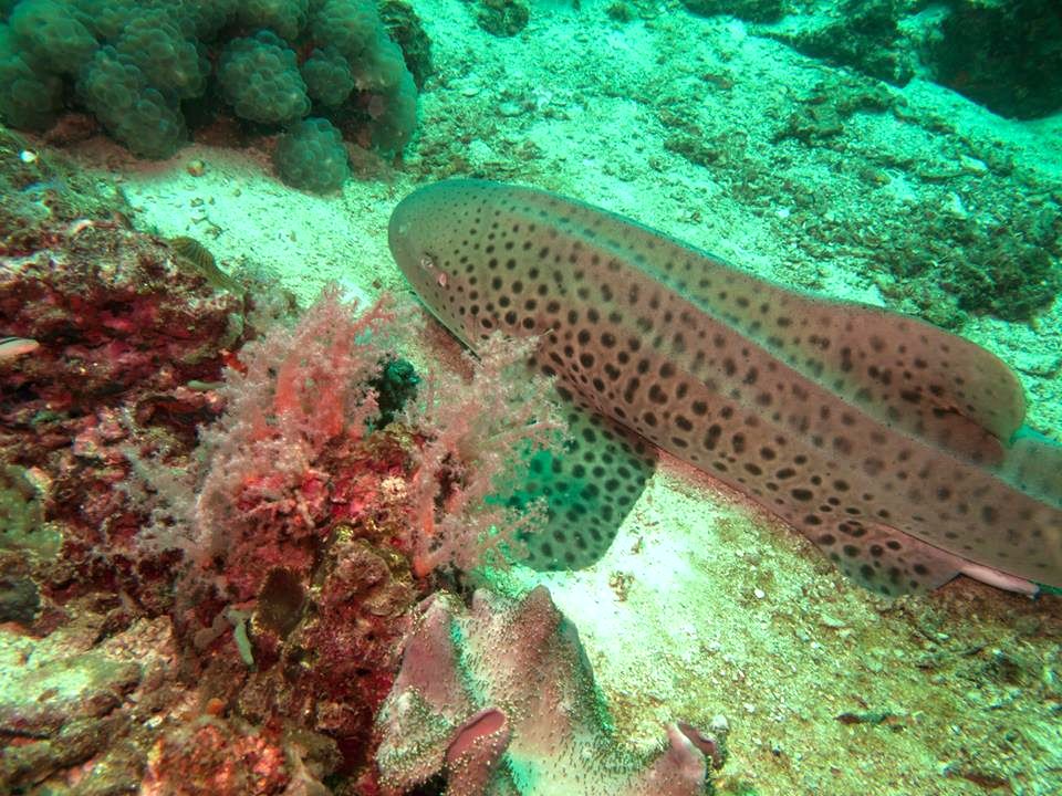 2cea99ab-6b0e-42d9-8ef0-fd599c4e34cd