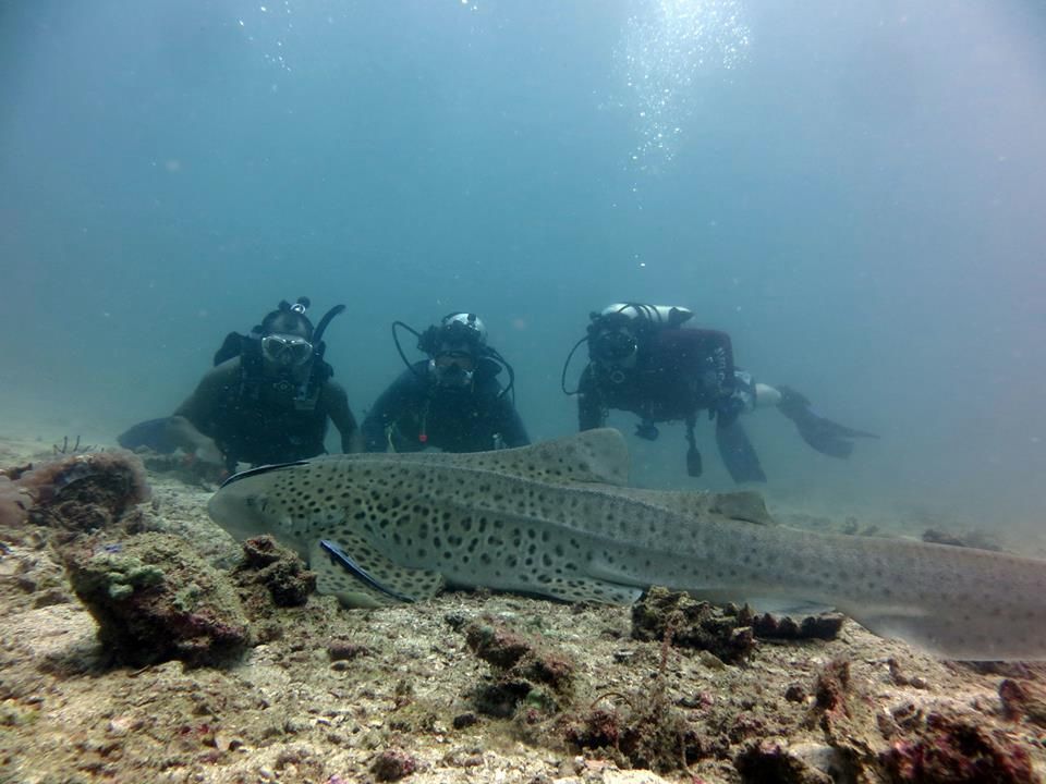 26ec0430-c662-4e4b-9468-20db6b2ee2c2