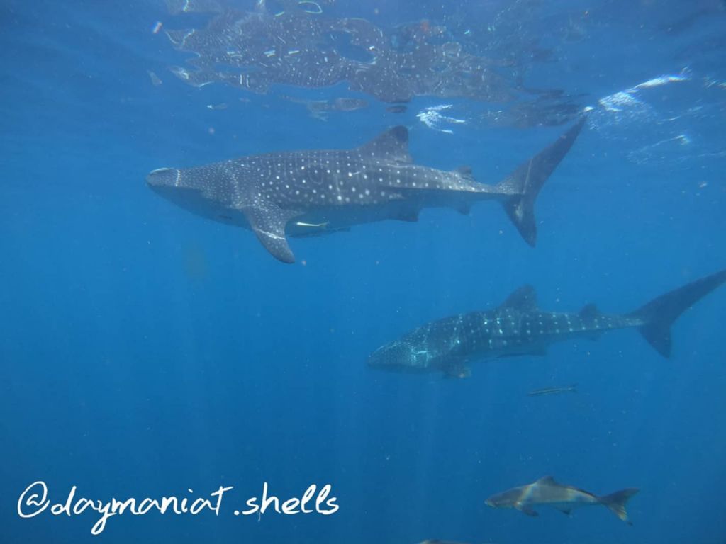 37ffbe2f-01a1-4b44-b9fb-3f35c6125661