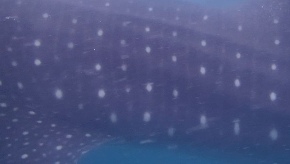 794a10ae-be97-444e-a513-d6b17e46b6ab