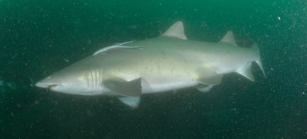 10e0f885-44e9-4462-a2c7-6ee126102b6f