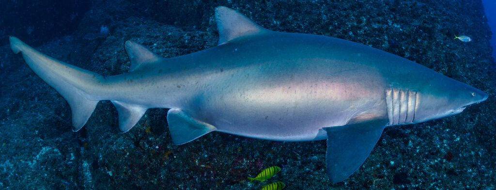 8d2b766d-0346-4903-8bf4-c7d50d9ccec4