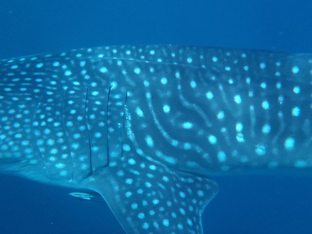 ee64451c-e437-4cfa-812e-4caeaf23105f