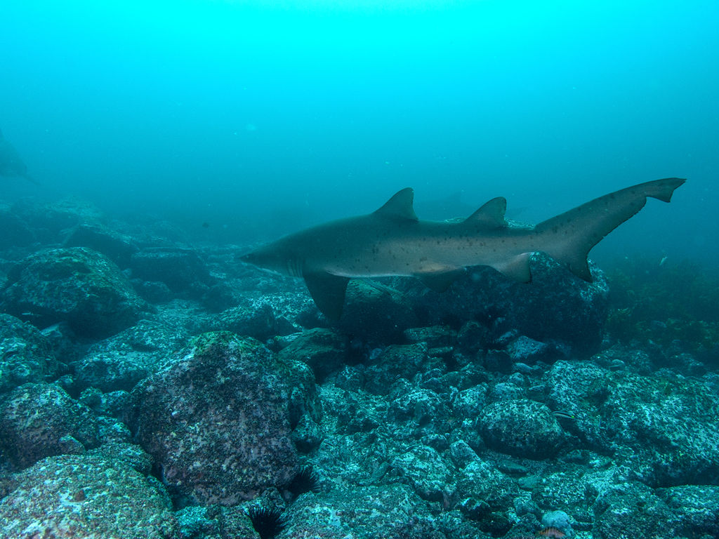 b53eb322-4a2a-4b69-8ada-9fb84a907647