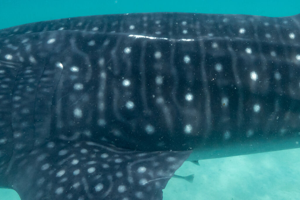 8f44ee68-5876-4a23-b21e-00cc0daca5af