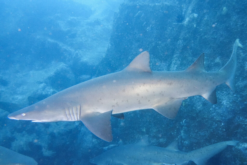 345f3051-a19c-42cd-b562-04293bb6c672