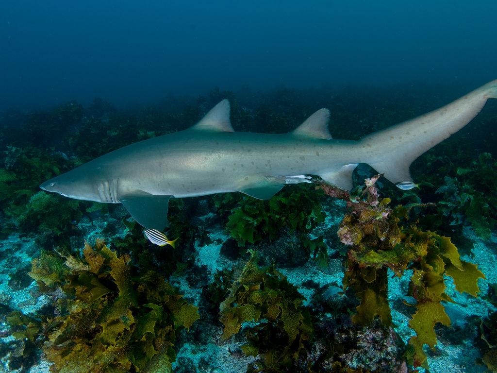 faf6f830-bd3c-46ce-a8ff-61034cdb3436