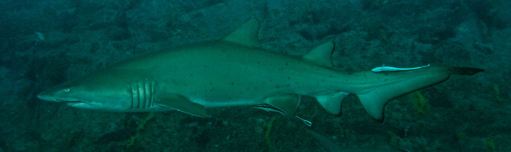 40a6e00c-4e63-40cb-b679-0b2841bace17