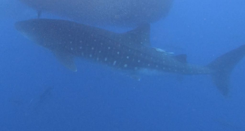 eb215b35-f05b-4be7-8f0c-834aa121d0ef