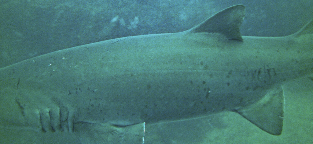 991baa6a-1ea6-477b-ba58-ba7f5488a510