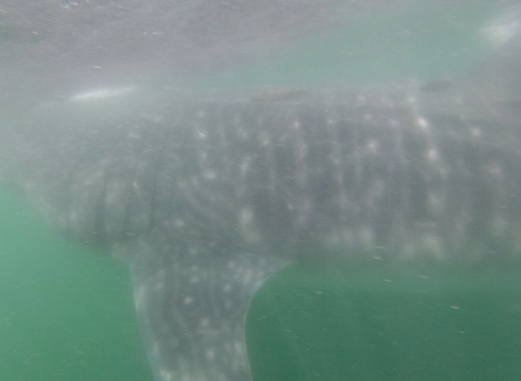 8398cf19-f1ba-4835-9dbd-77f9a0dd73d3