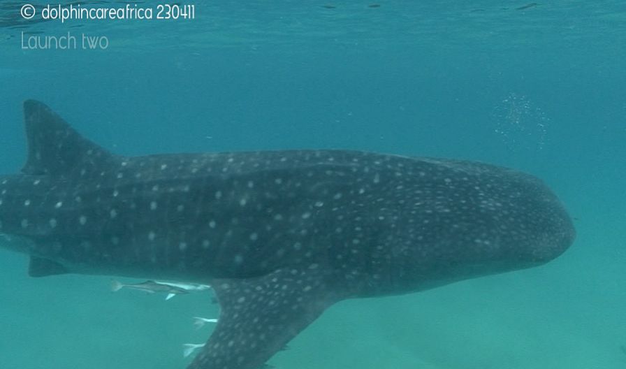 fe1381b7-8db2-4499-872f-1c0d3208ab46