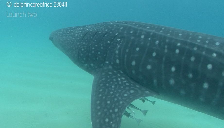 fe1381b7-8db2-4499-872f-1c0d3208ab46