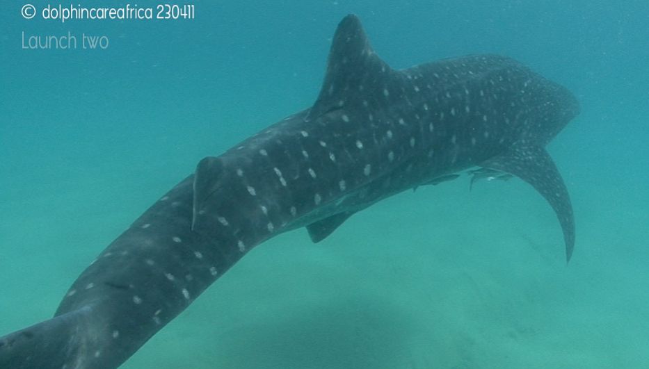 fe1381b7-8db2-4499-872f-1c0d3208ab46