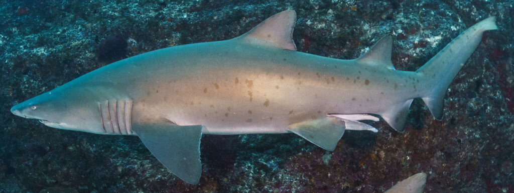 5748f54a-9cde-49a6-ad83-578f65cfe41b