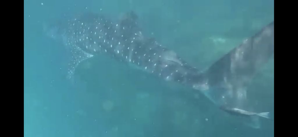 a2068f48-6e9e-49f9-ba51-e9f99f109a12