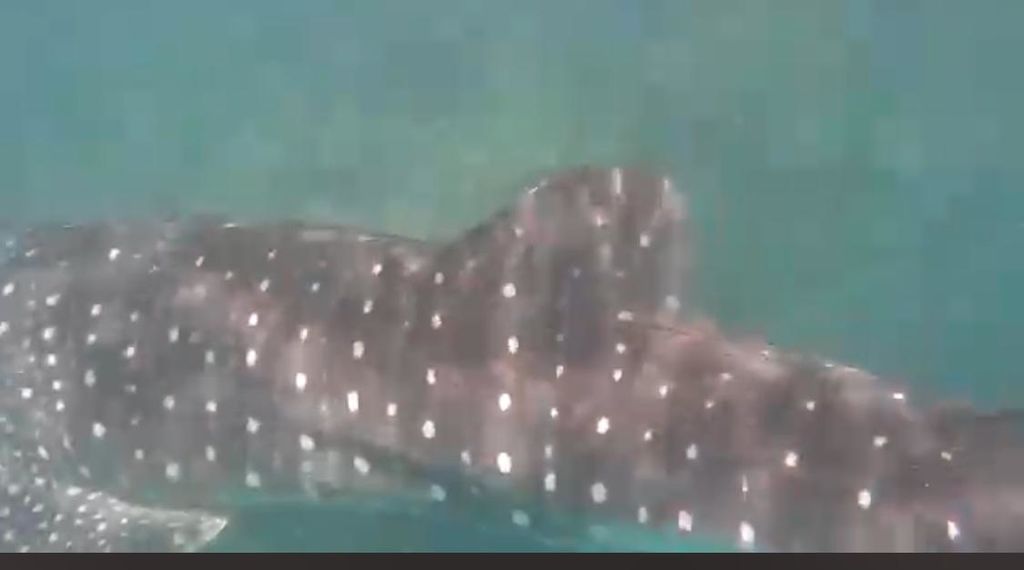 a2068f48-6e9e-49f9-ba51-e9f99f109a12