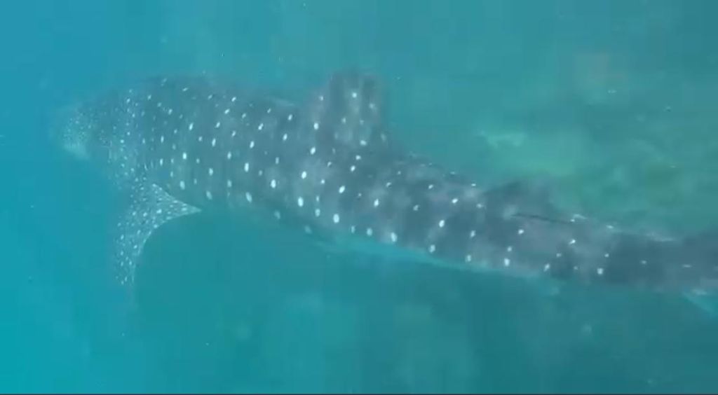 a2068f48-6e9e-49f9-ba51-e9f99f109a12