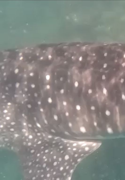 a2068f48-6e9e-49f9-ba51-e9f99f109a12