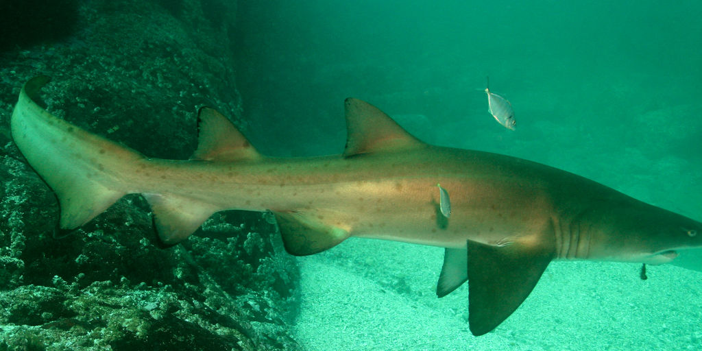 535c395d-16ad-42ed-880c-a39be0805346