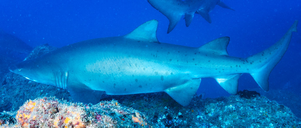 7ab15ecc-c383-4194-8826-eaaa86404d55