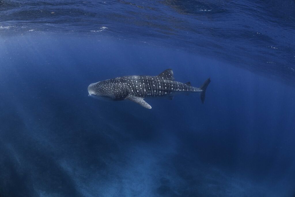 642d4de3-bb3a-4604-8119-d5ba4dc0ed1d