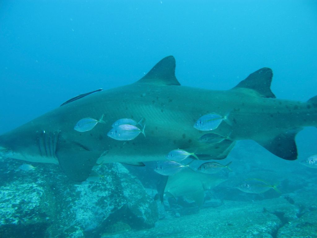 4d52dcb0-a5bd-45c8-9d59-6da731c75f21