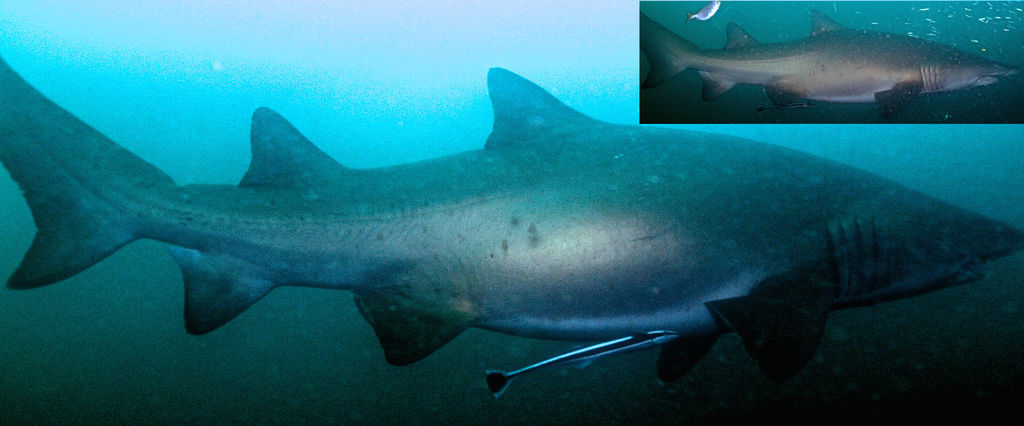 6b4c8158-a73d-4910-9e33-03e4992df854