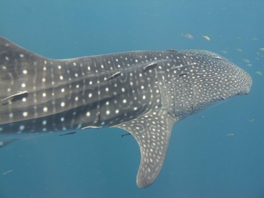 00578c77-89f9-4106-8de9-fef862c23370