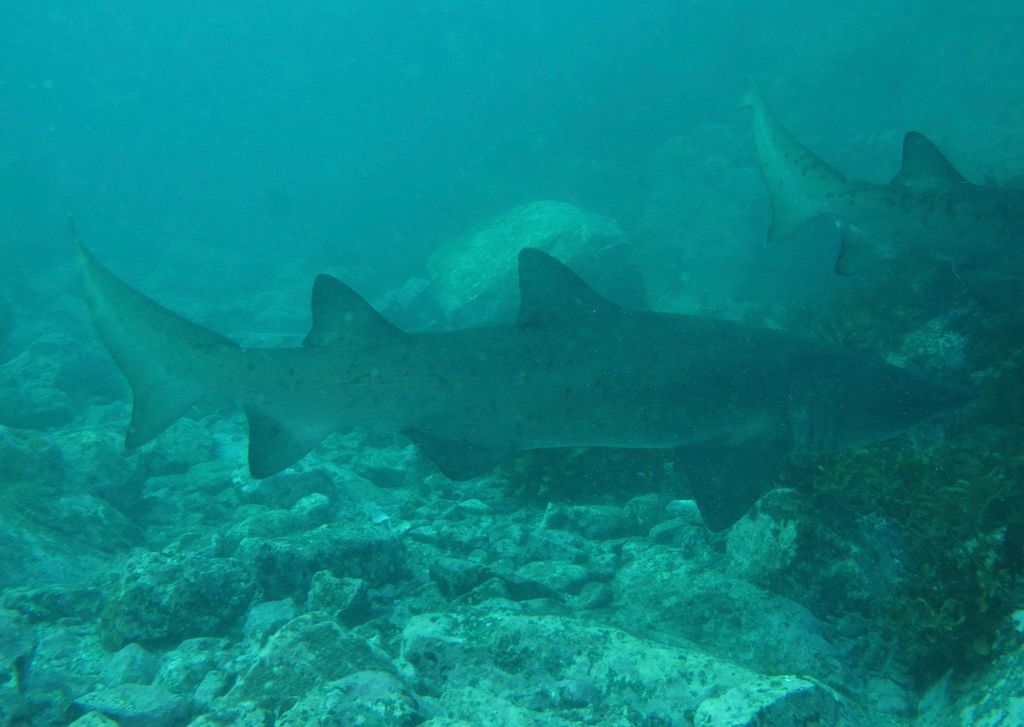 01e50750-df12-43c4-aa03-0d24b19e27d8