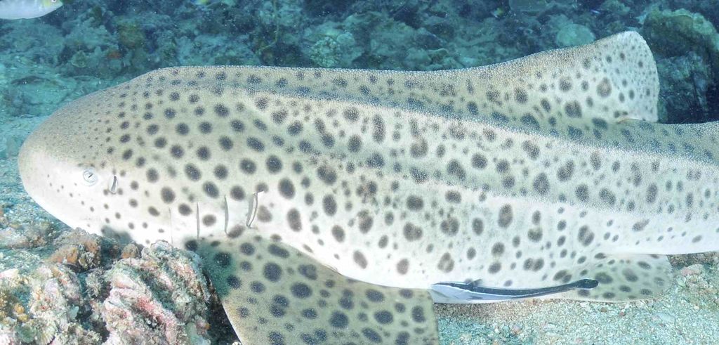 b0fc169f-ae5a-43cd-9941-a79dd937c5ae