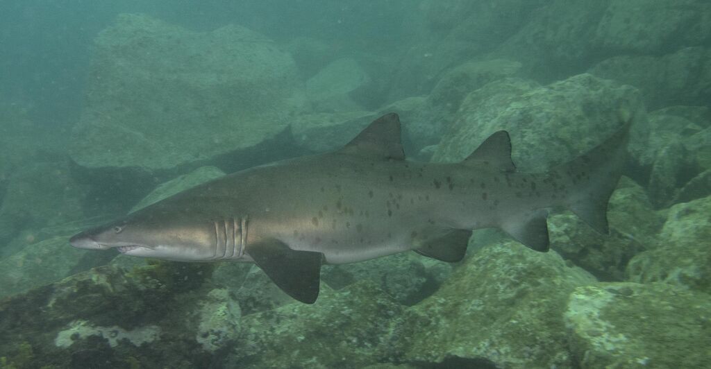 8c2ef0e5-a5e9-46de-b81d-01ff0aebfb7a