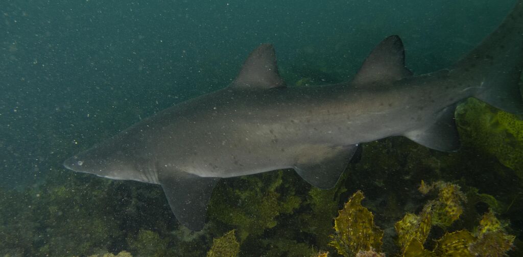 7bd883a2-c213-4933-8a80-68f266fa3e6e