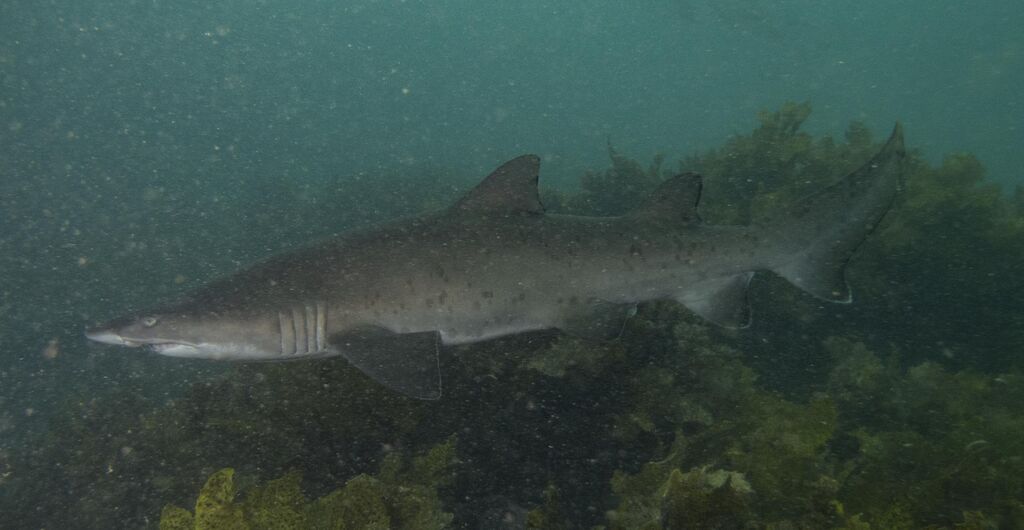 319b7026-8634-4443-889e-b721caa9c486