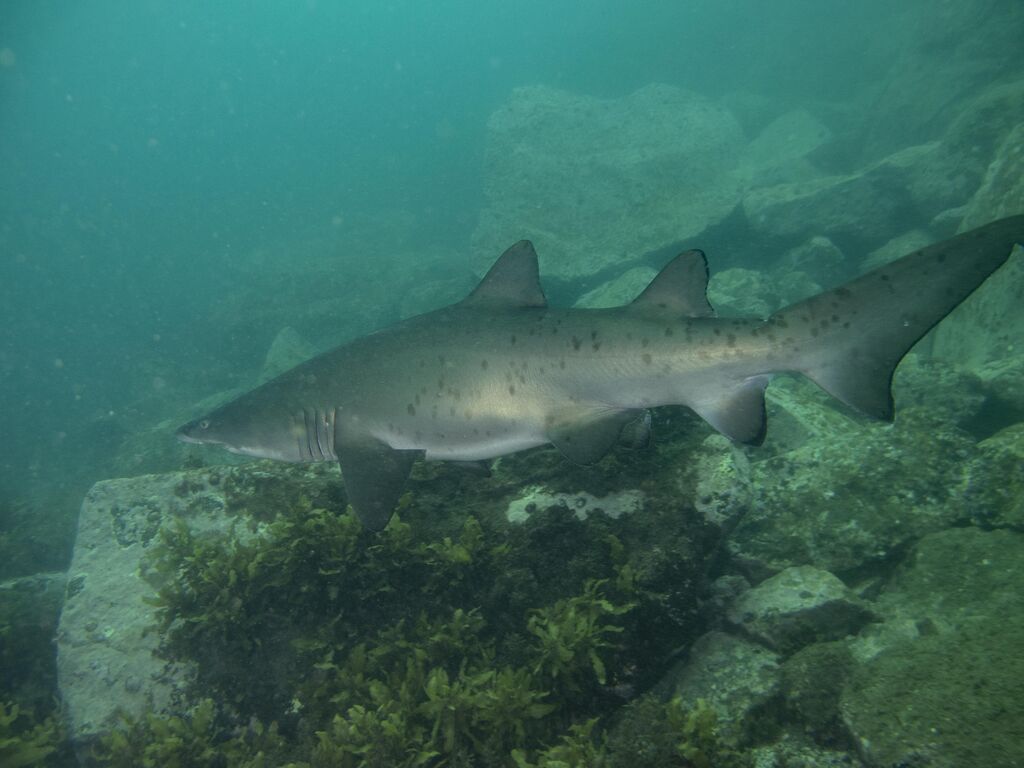 8c2ef0e5-a5e9-46de-b81d-01ff0aebfb7a